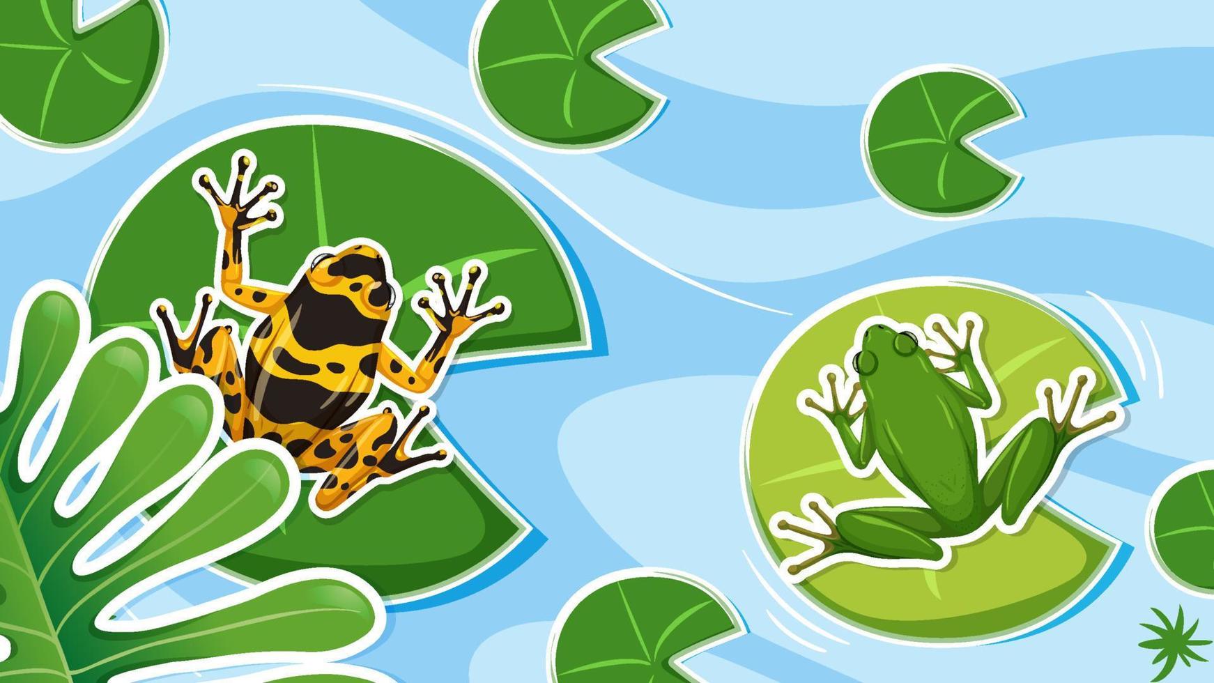 Top view frogs in the pond vector