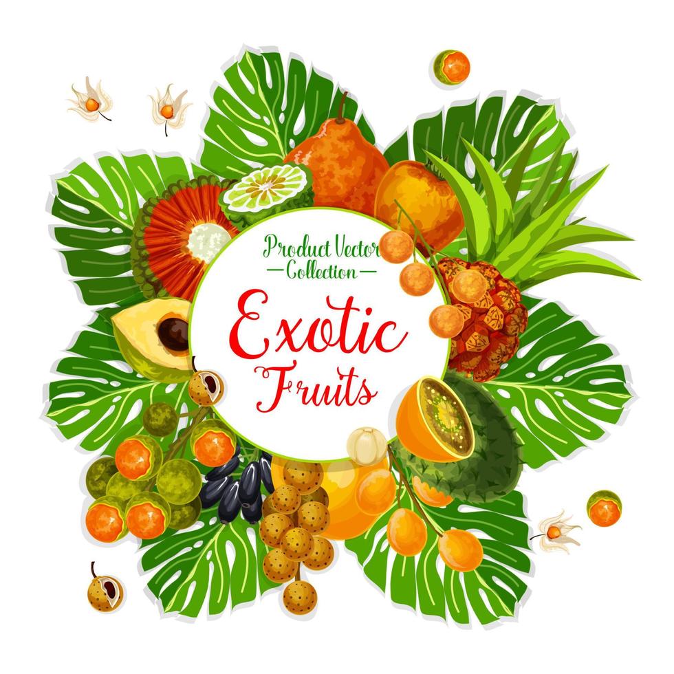 Exotic fruit and berry poster with tropical palm vector
