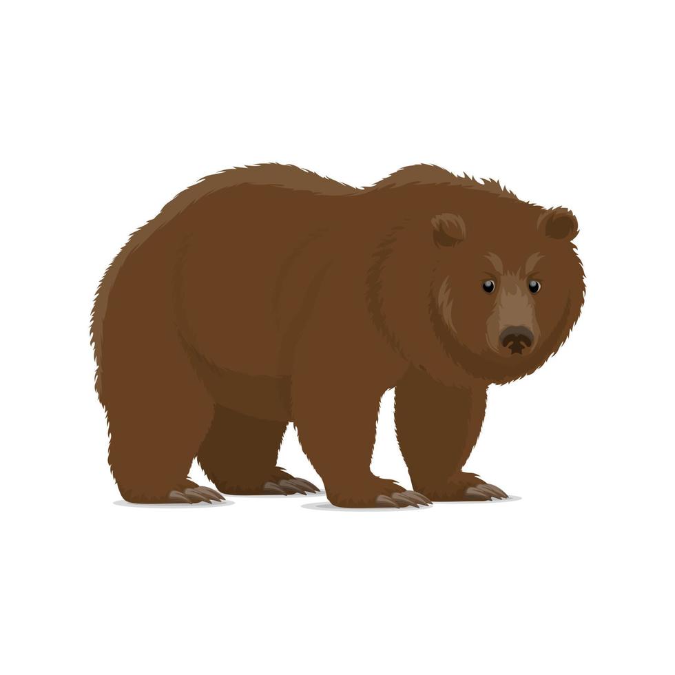 Brown bear or grizzly animal icon of wild predator vector