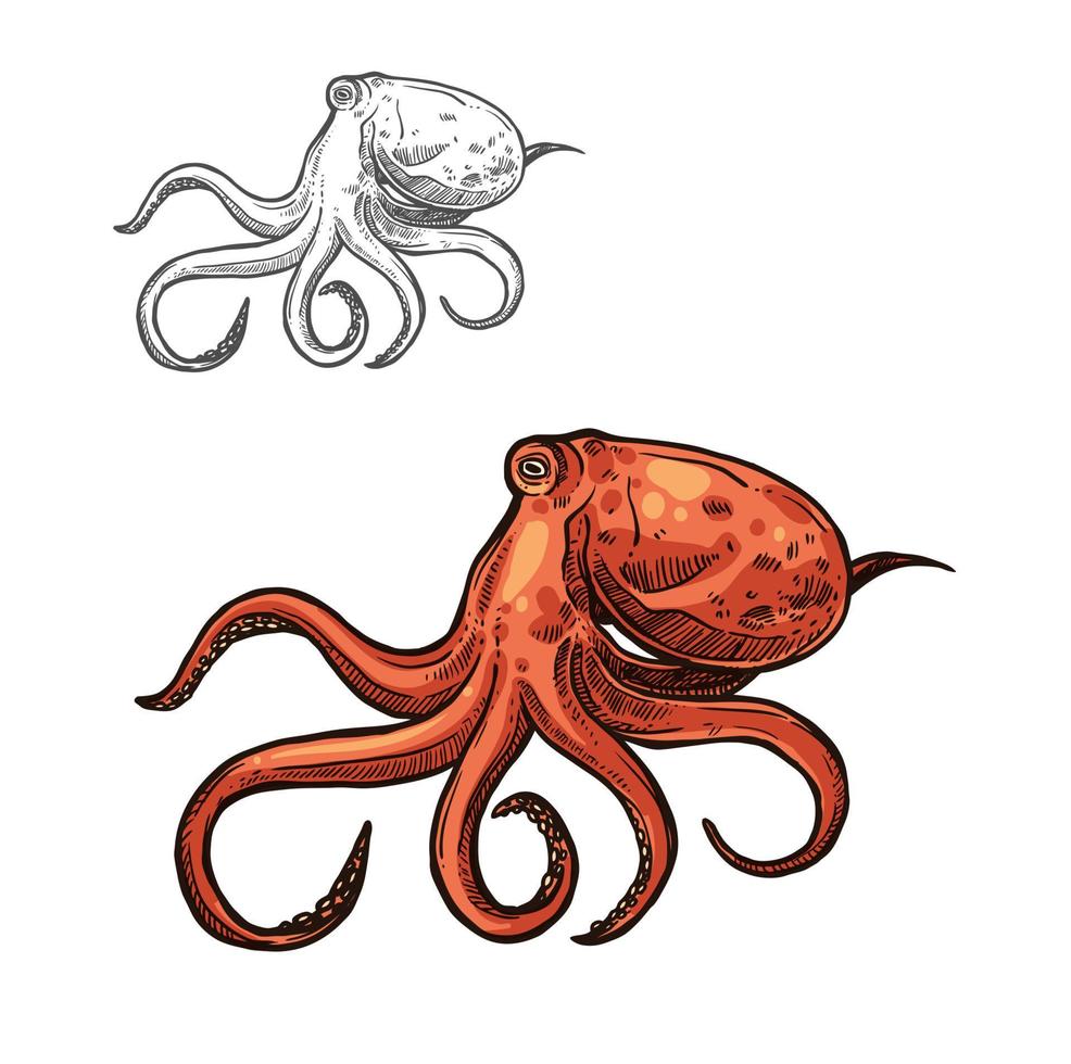 dibujo de animal marino de pulpo de molusco rojo del océano vector