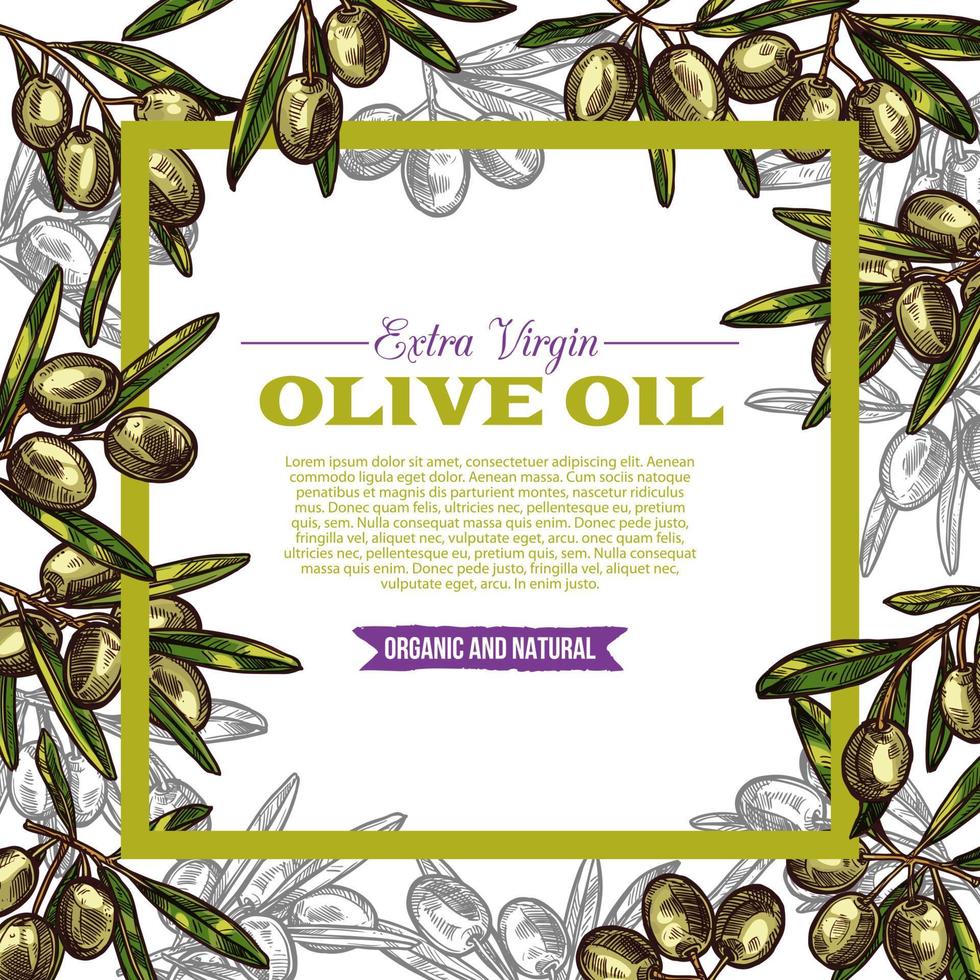 etiqueta de aceite de oliva con fruta verde y marco de hojas vector