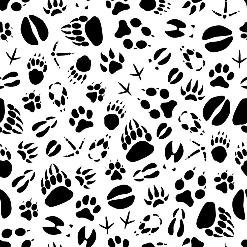 patrón sin costuras de huellas de animales o aves vectoriales vector