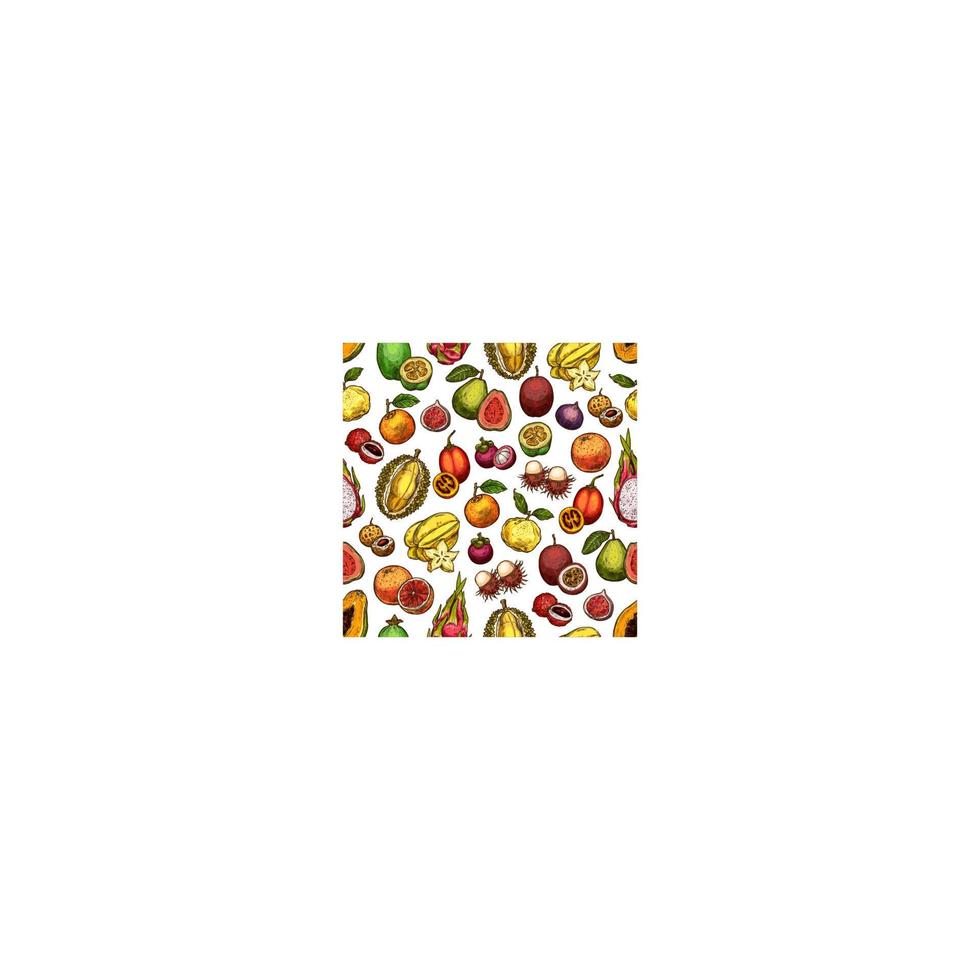 Exotic fruit and berry seamless pattern background vector