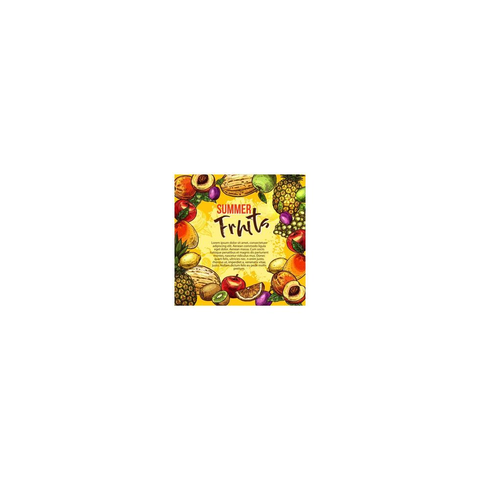Tropical fruit sketch poster of summer berry frame vector