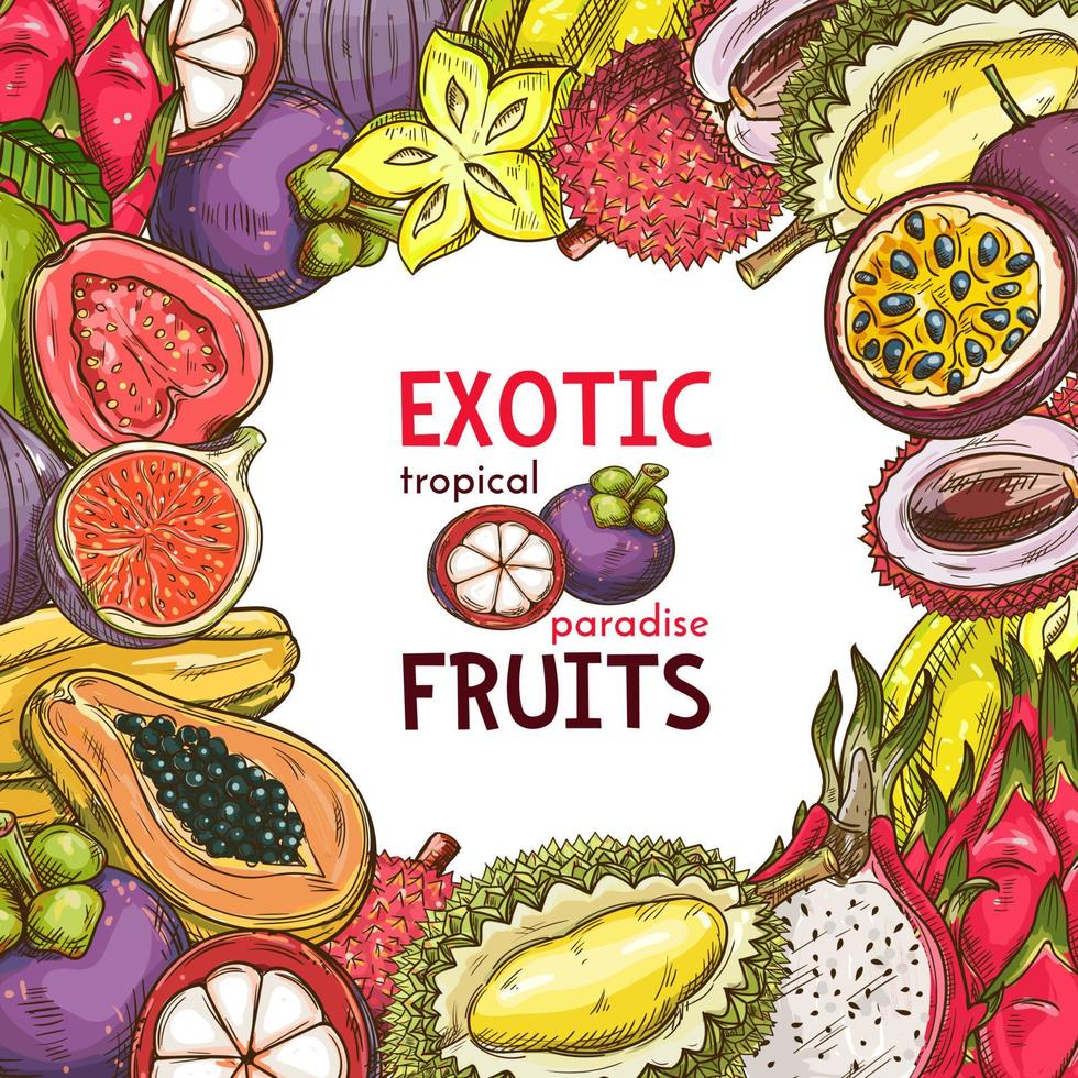 Vector sketch poster of fruit shop exotic fruits