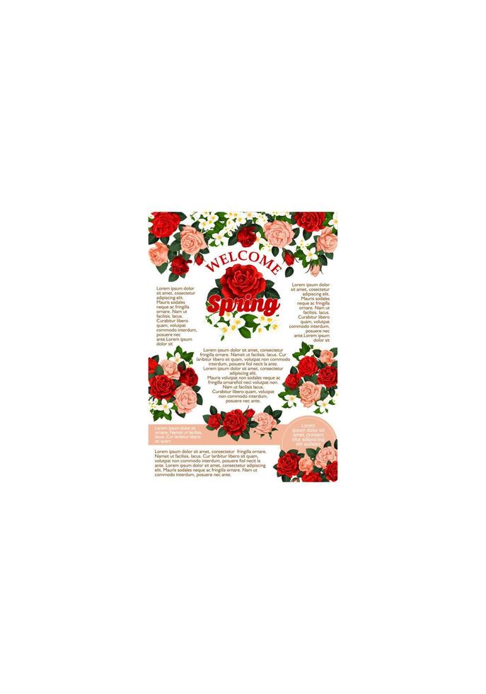 Vector rose flowers poster for spring season
