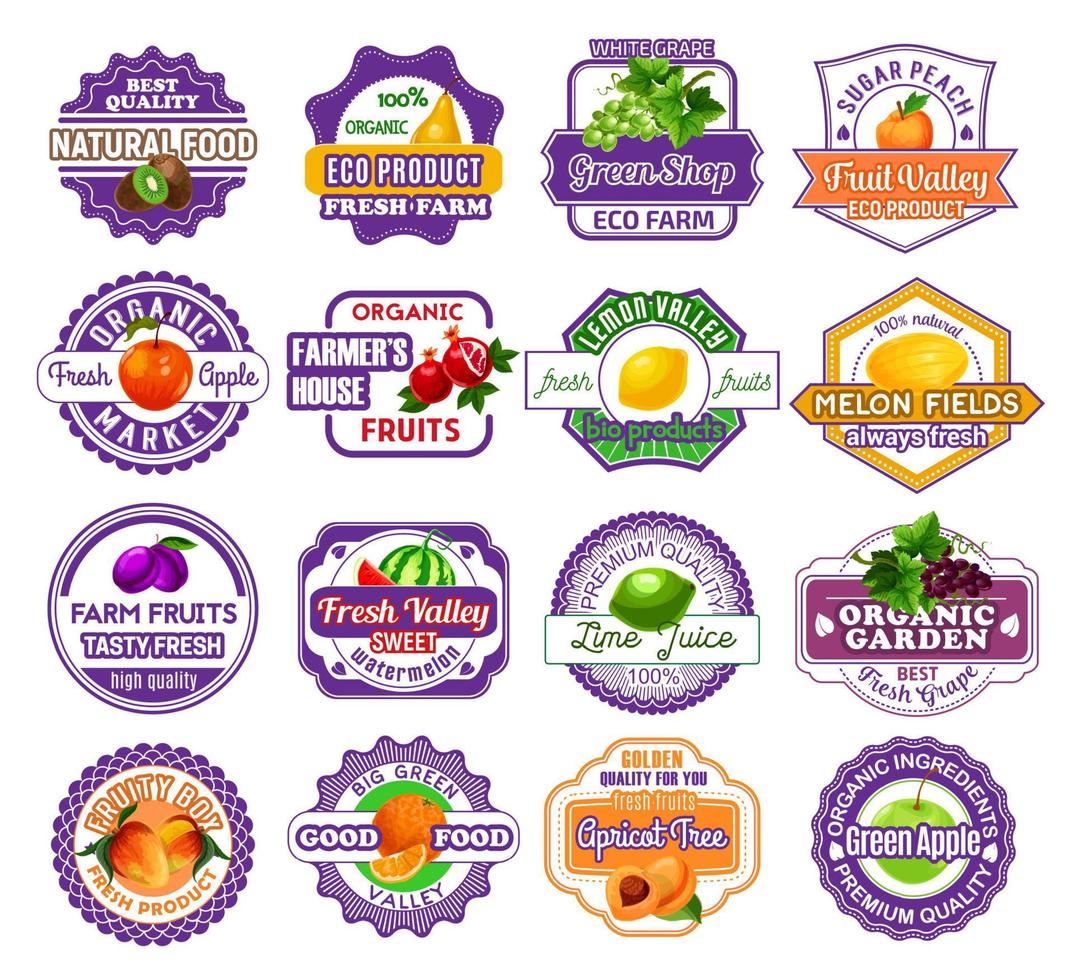 Fruit and berry label for food and drink design vector