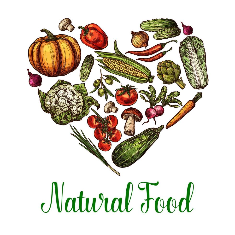 Vector natural vegetables food sketch heart poster