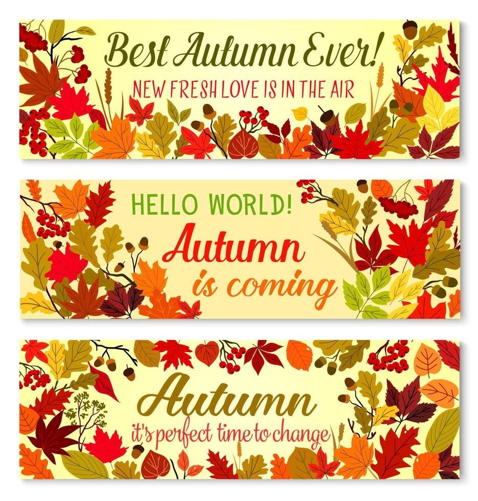 Autumn banner of fall season forest nature frame vector