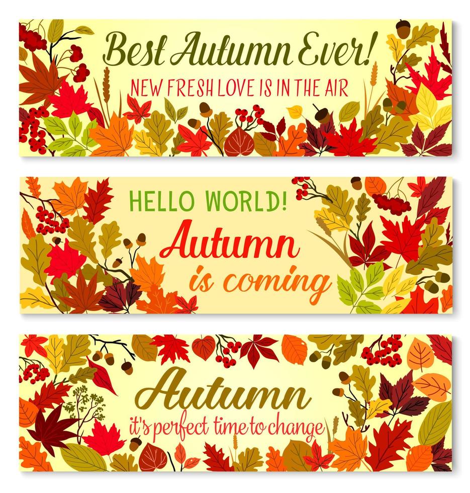 Autumn banner of fall season forest nature frame vector