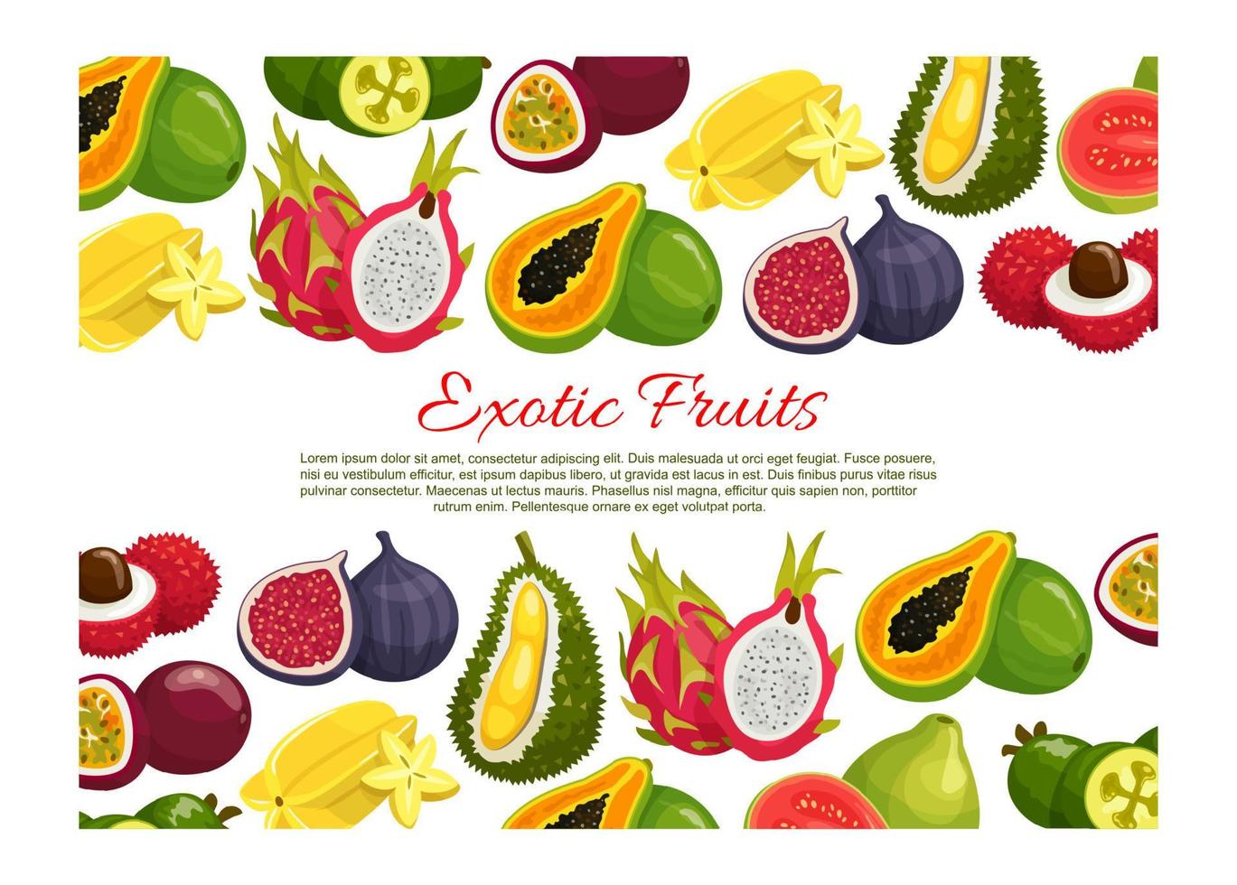 Vector poster of tropical exotic fruits