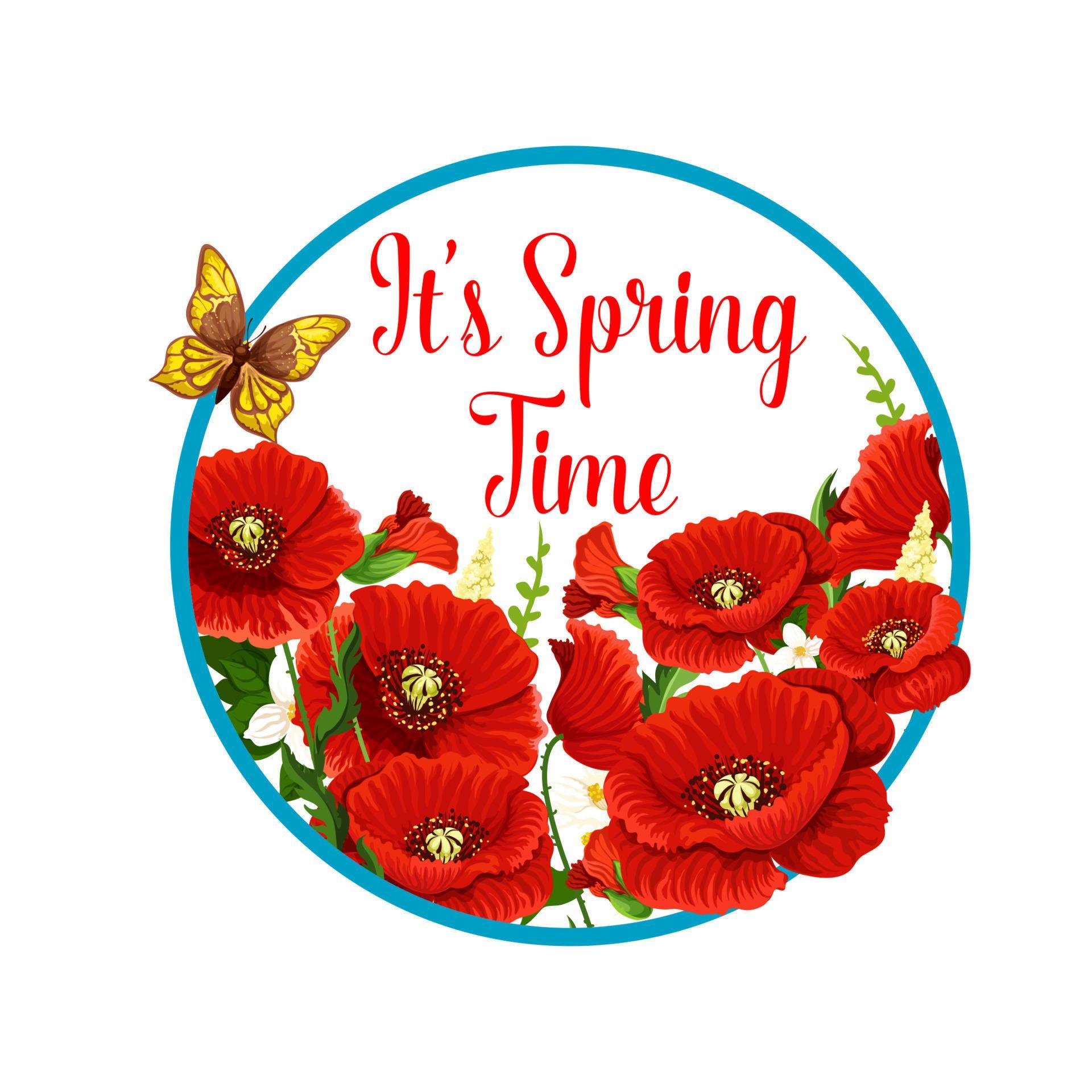 Springtime vector icon of poppy flowers bloom 13176790 Vector Art at ...