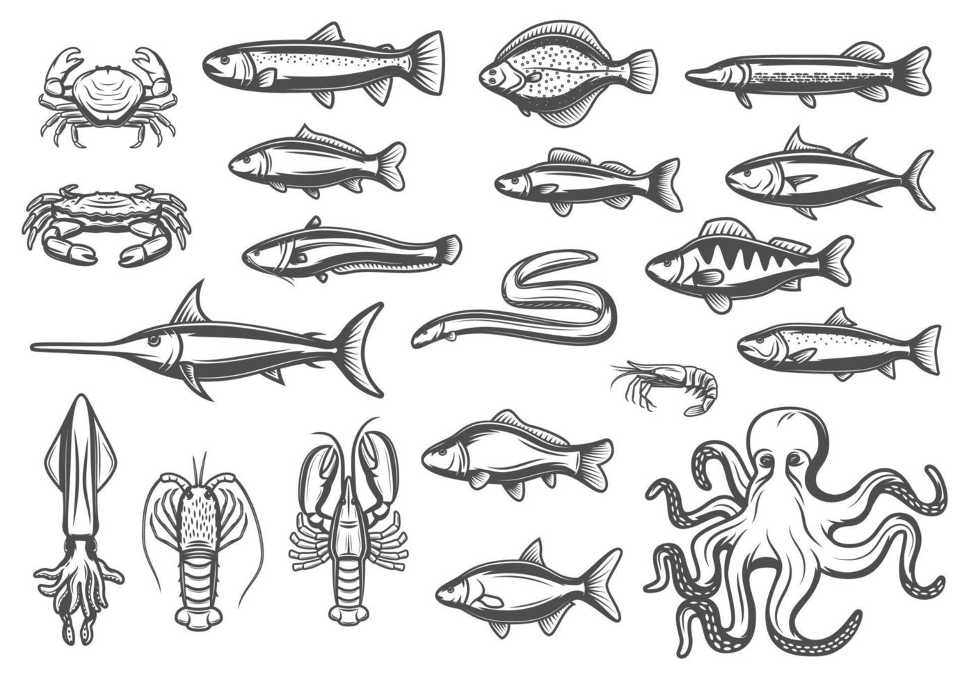 iconos de dibujo vectorial de pescados y mariscos vector