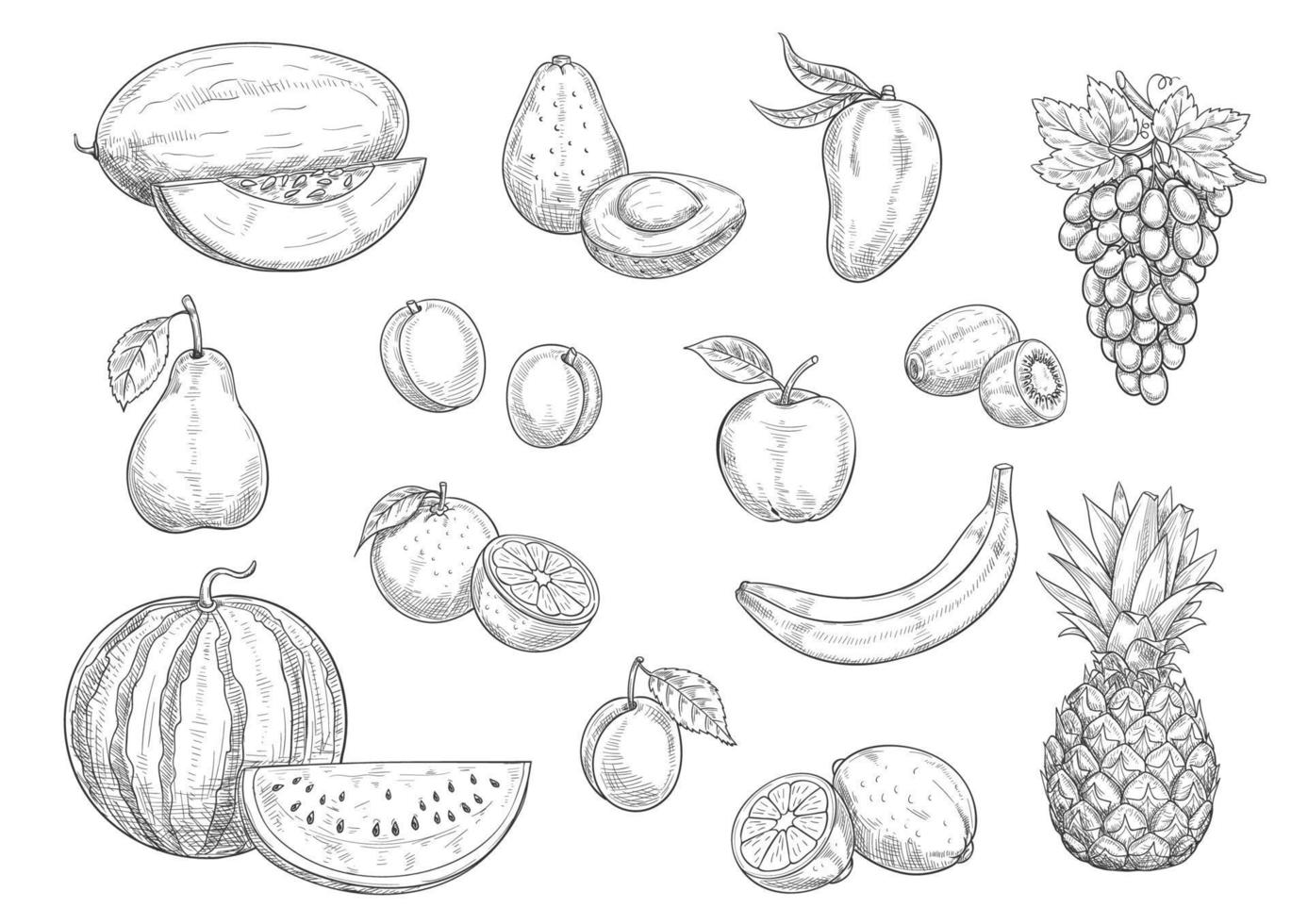 conjunto de bocetos aislados de frutas para alimentos, diseño de jugos vector