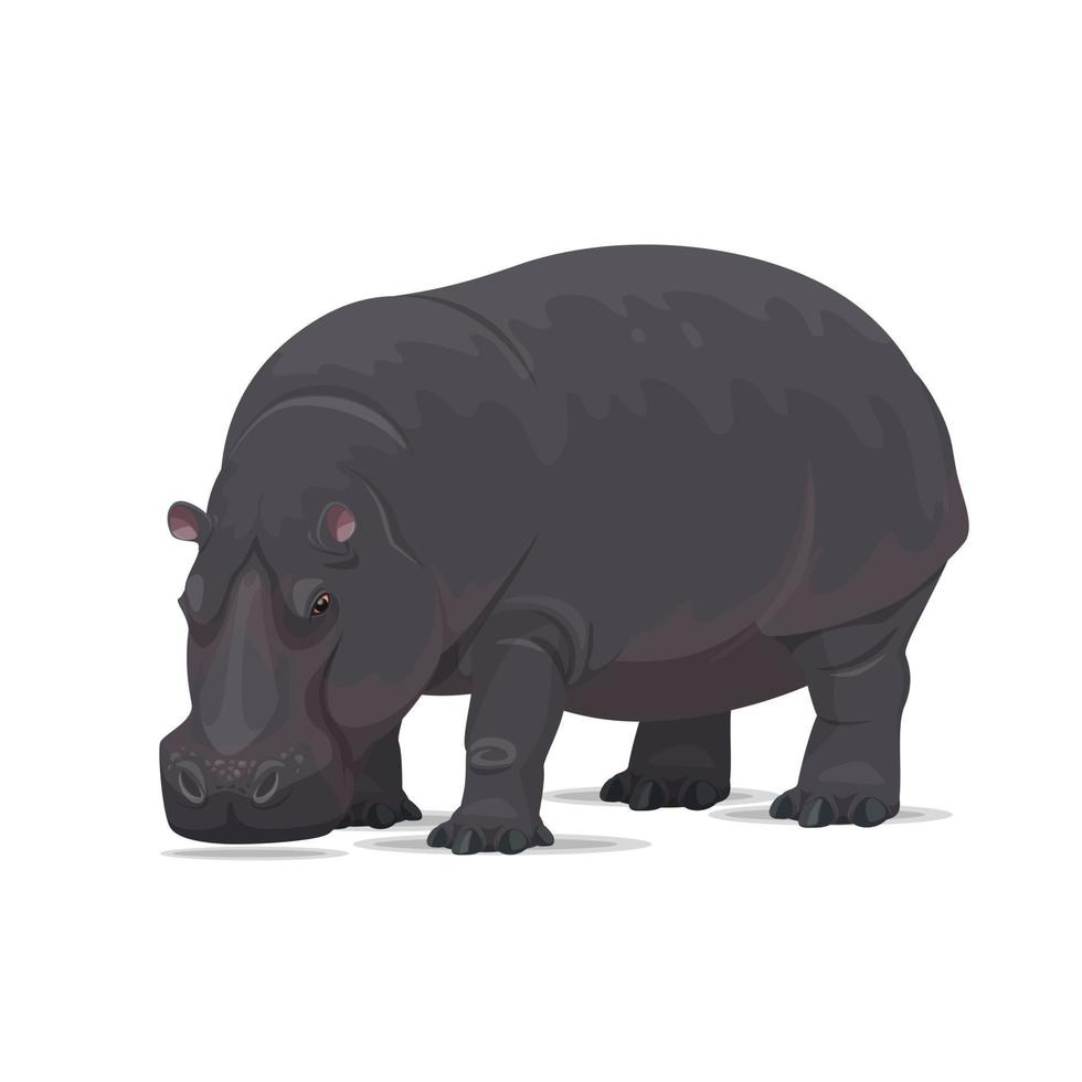 hipopótamo vector animal africano icono plano