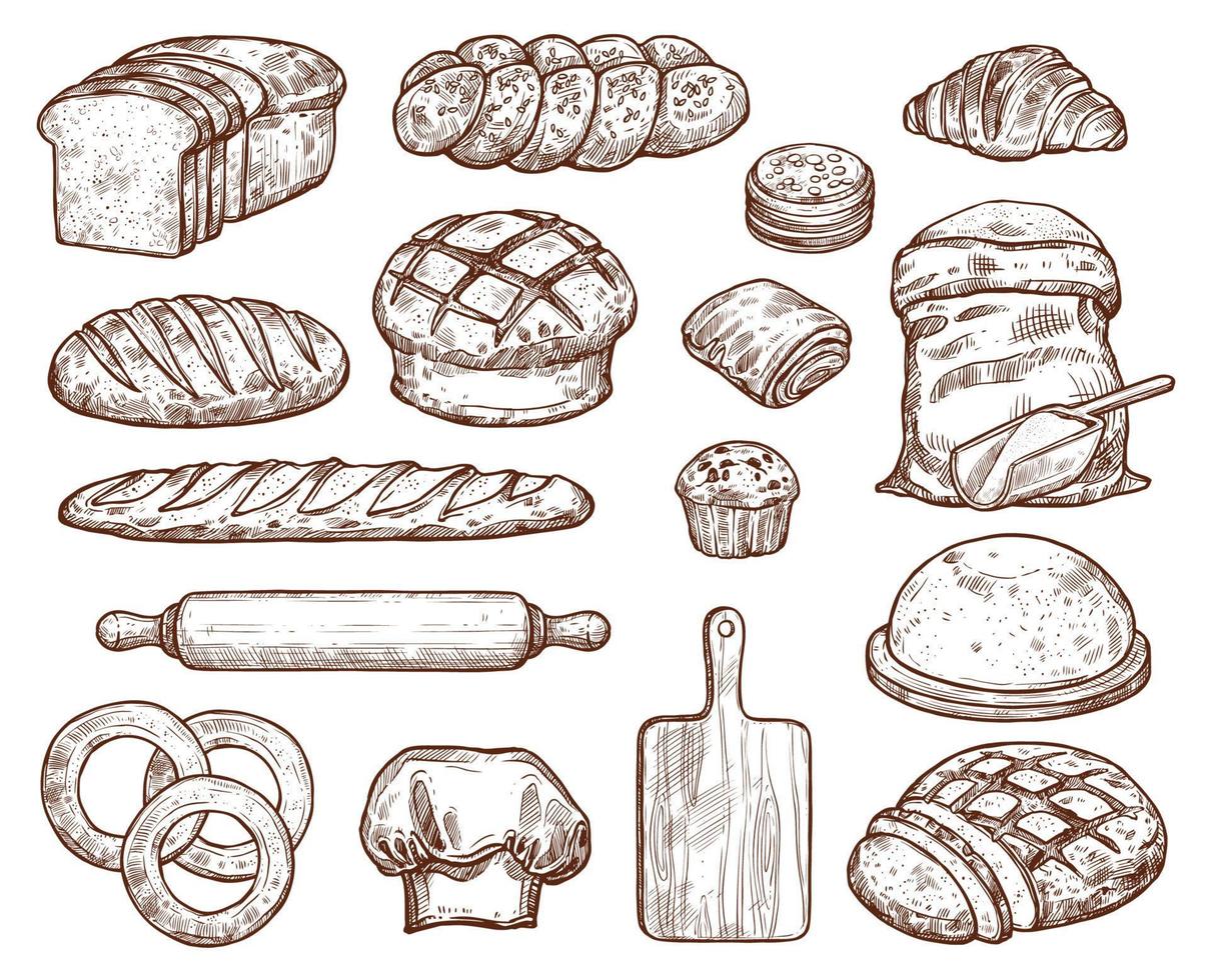 Bakery set with a lot of types fresh bread. vector