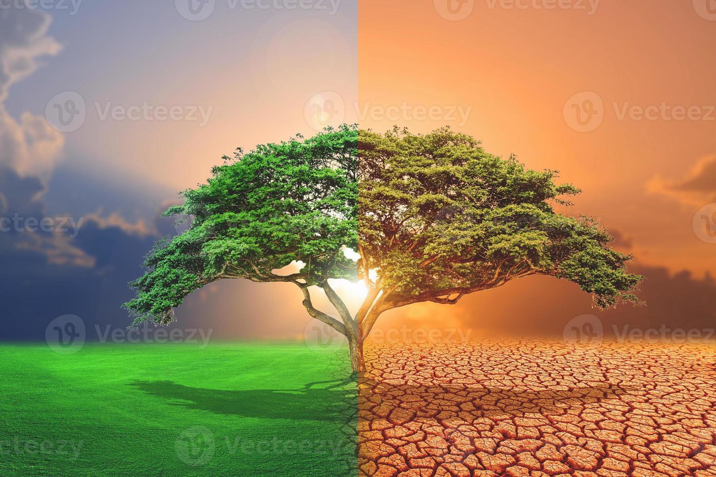Comparative picture between drought, global warming effect and refreshing area. The concept of changing brushes. Love the world. Save the environment. photo