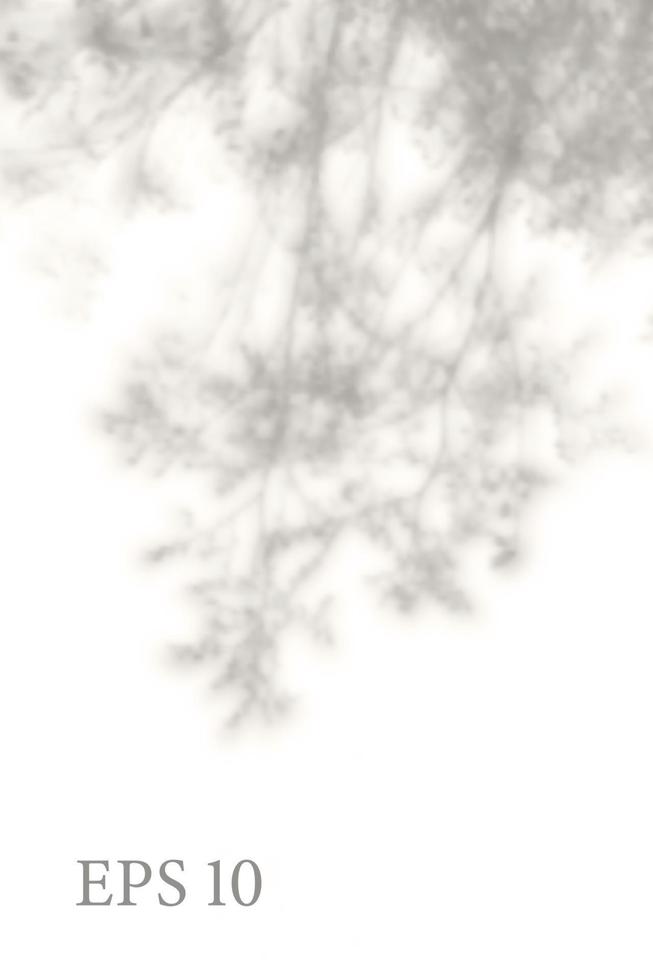 Transparent natural plant shadow. Light effect overlay. Mesh grid. Presentation your design card, poster, stories Photo realistic illustration vector