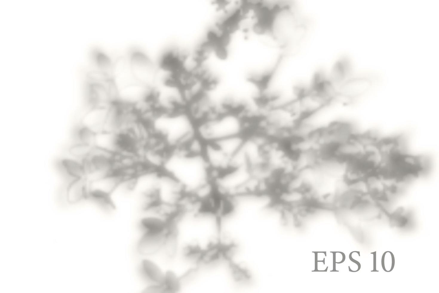 Transparent natural sakura tree branch shadow. Light effect overlay. Mesh grid. Presentation your design card, poster, stories Photo realistic illustration vector