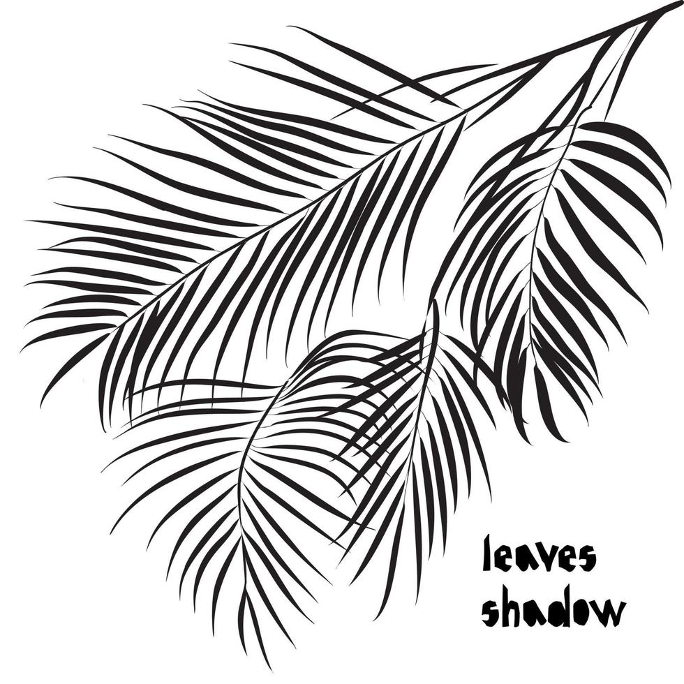 silueta negra palmera areca hojas tropicales aisladas sobre fondo blanco. patrón de sombra diseño exótico para textiles de tela vintage, moda, impresión, afiche vector