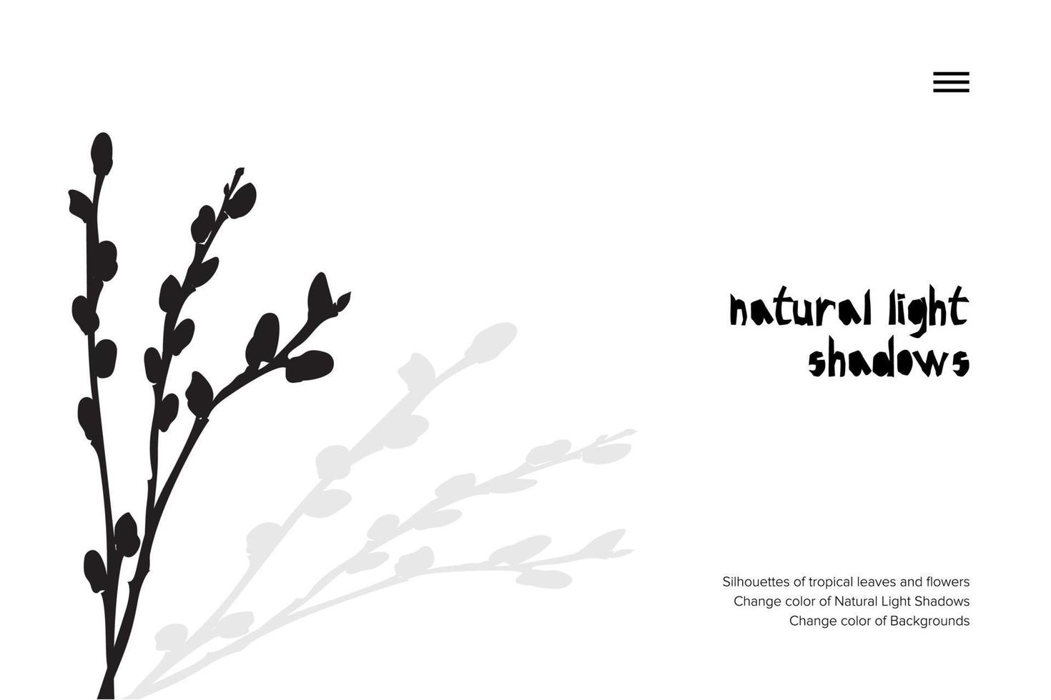 Abstract banner with black pussy willow leaves shadow isolated on white background. Vintage style Presentation template vector