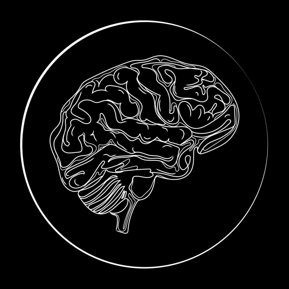 cerebro humano línea dibujo vector logo,emblema,icono template.brain en marco redondo dibujo a mano ilustración de línea sobre fondo negro,negro y whitesektch .órganos humanos