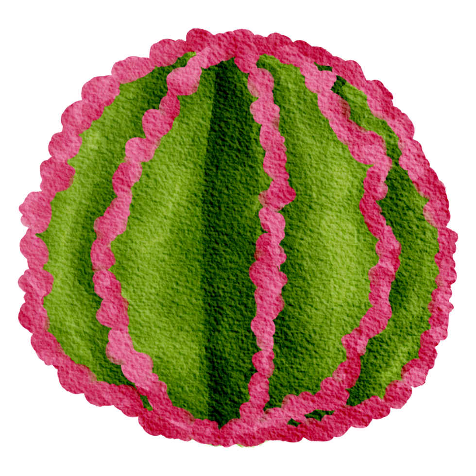 Cactus succulent plant watercolor png