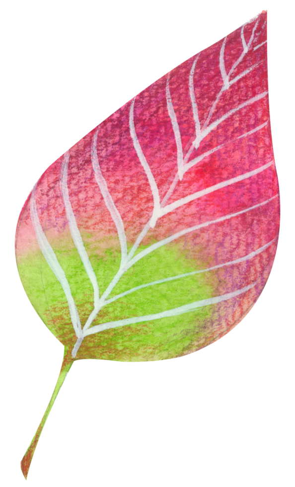 foliage watercolor leaf hand paint png