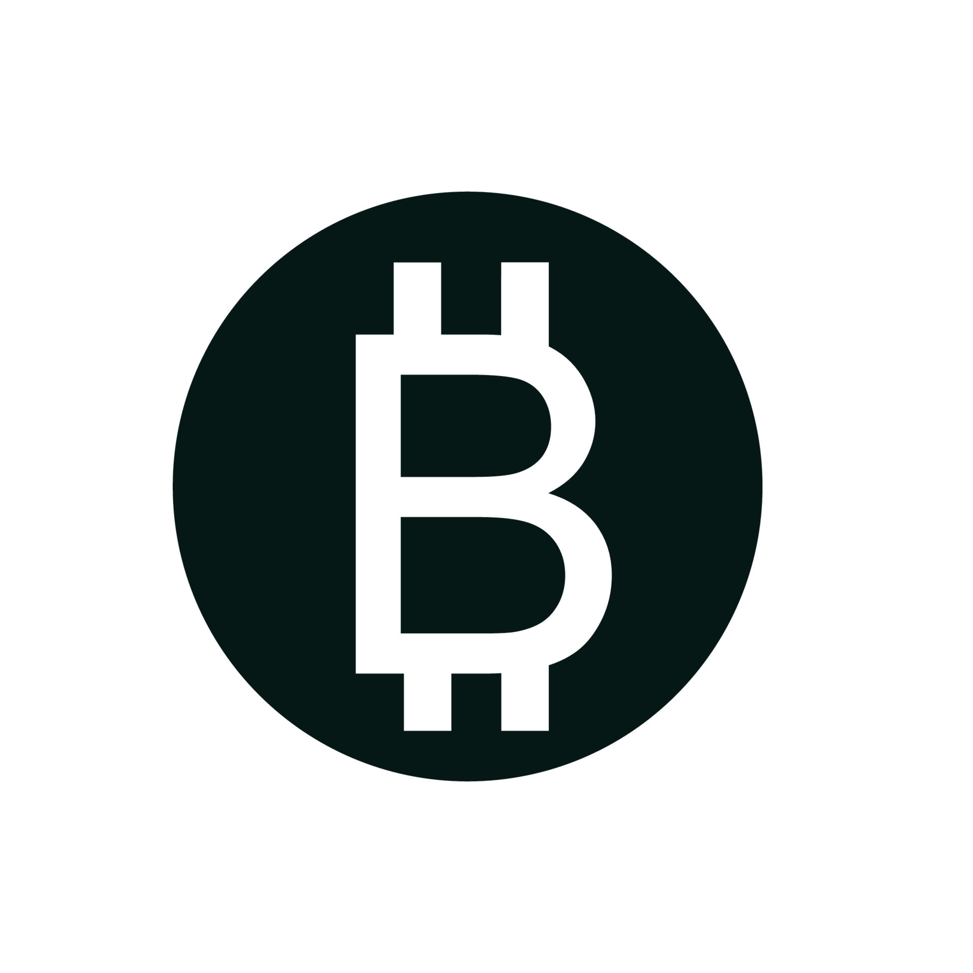 vector digital currency logo isolated on white background 13179550