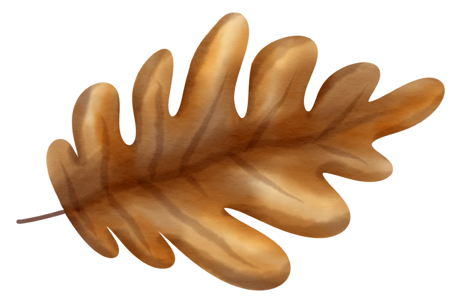Autumn element watercolor ornament png