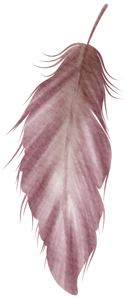 Feather watercolor hand paint png