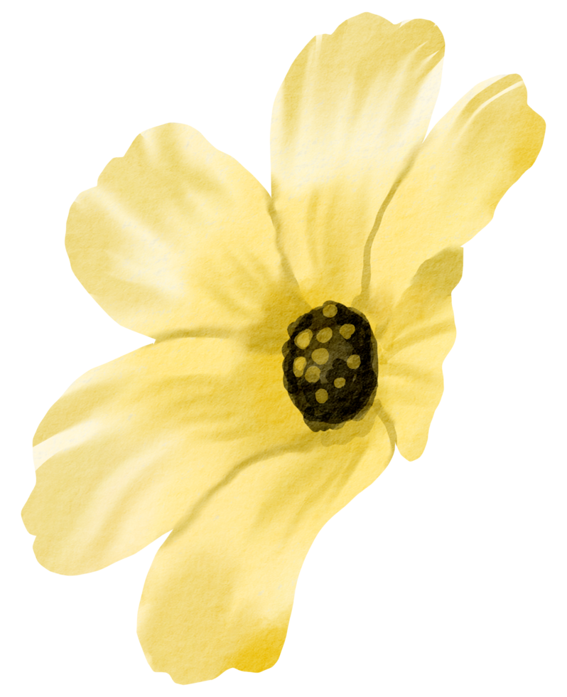 vattenfärg blommig botanisk hand måla png