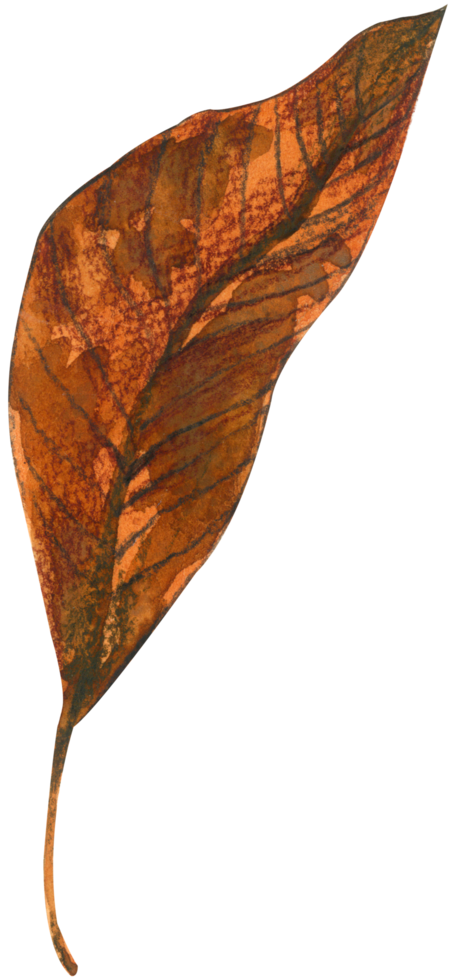 foliage watercolor leaf hand paint png