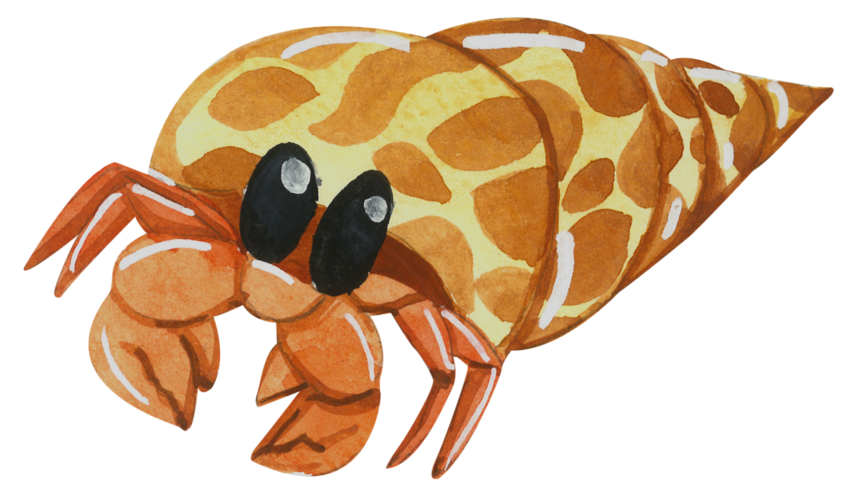 aquarela de personagem animal fofo png