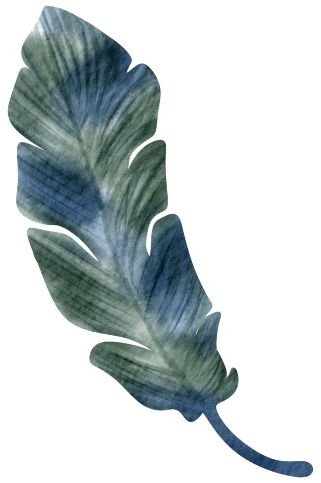 Feather watercolor hand paint png