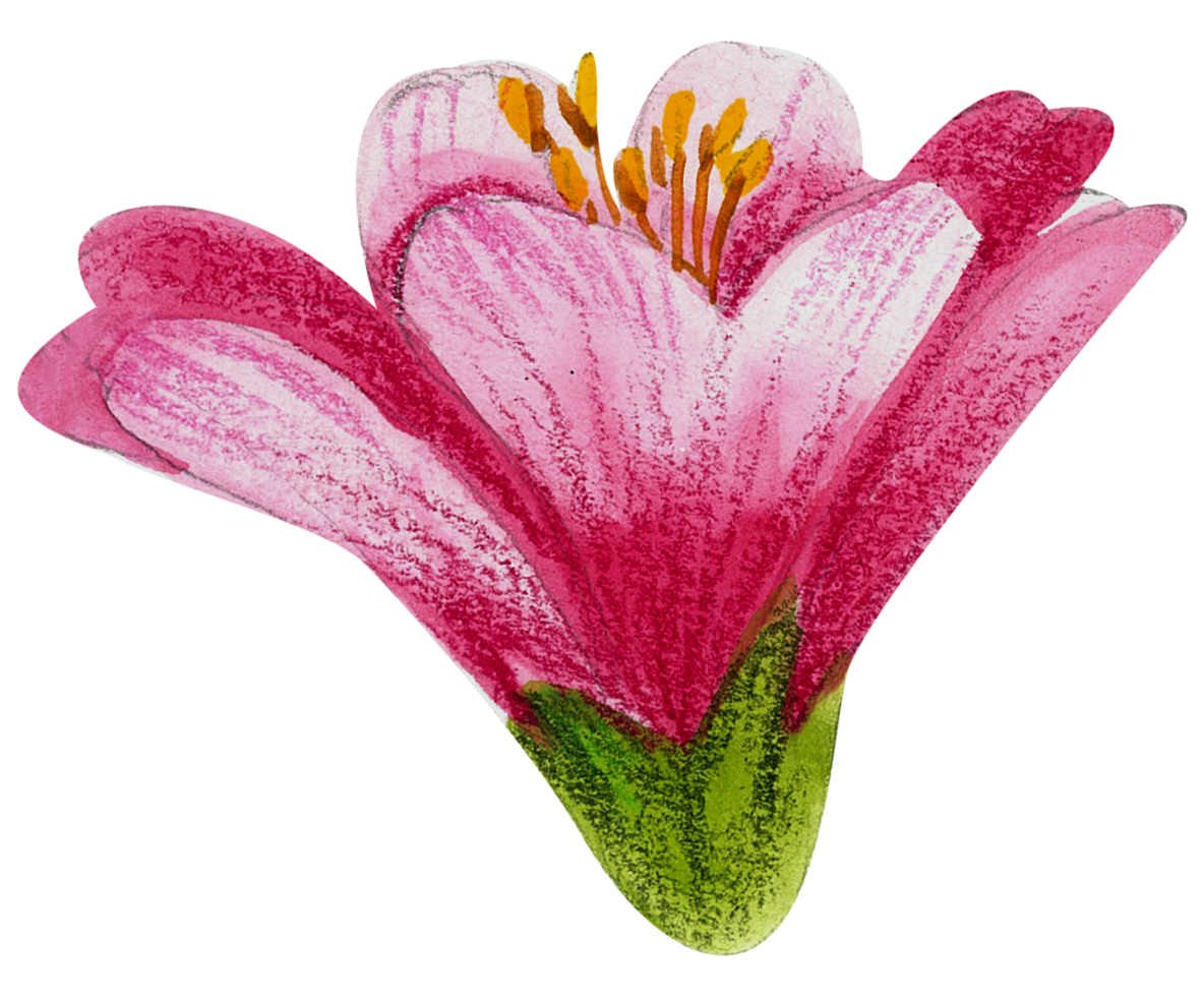 waterverf bloemen botanisch hand- verf png