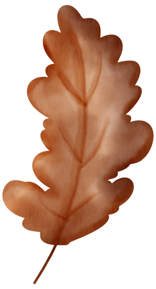 herfst element waterverf ornament png