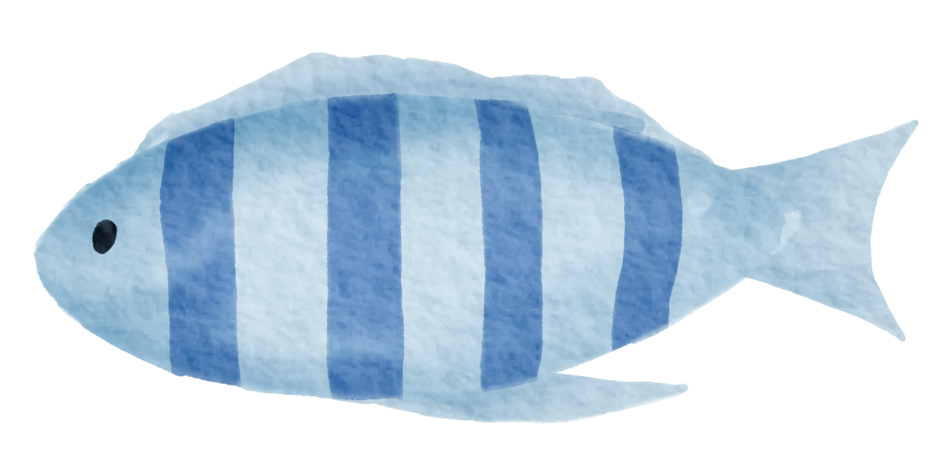 Nautical watercolor marine life hand painted png