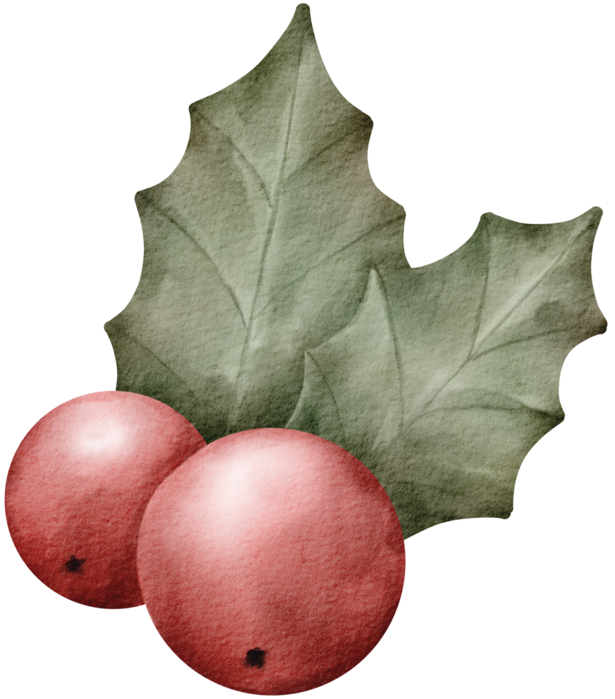 Winter Christmas ornament watercolor element png