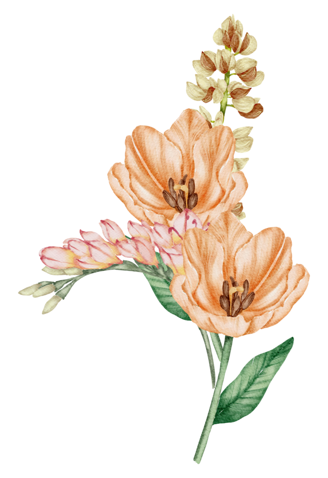 Watercolor Orange Floral Botanical png
