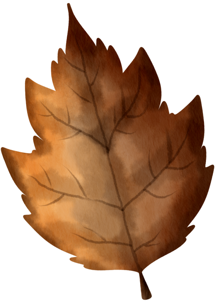 Autumn element watercolor ornament png