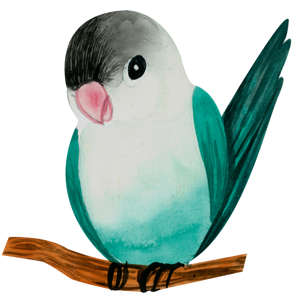 passarinho pintado à mão em aquarela png