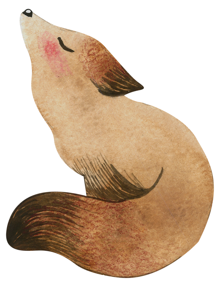 carino animale personaggio acquerello png