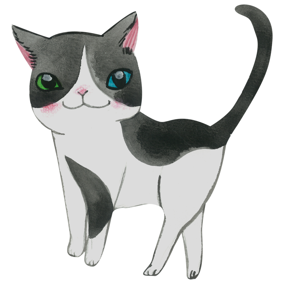 Cute cat animal character watercolor png