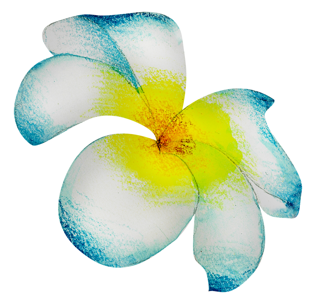 Aquarell Blumen botanische Handfarbe png