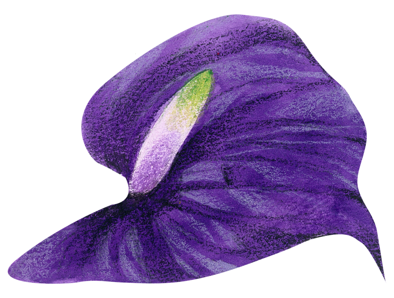 waterverf bloemen botanisch hand- verf png