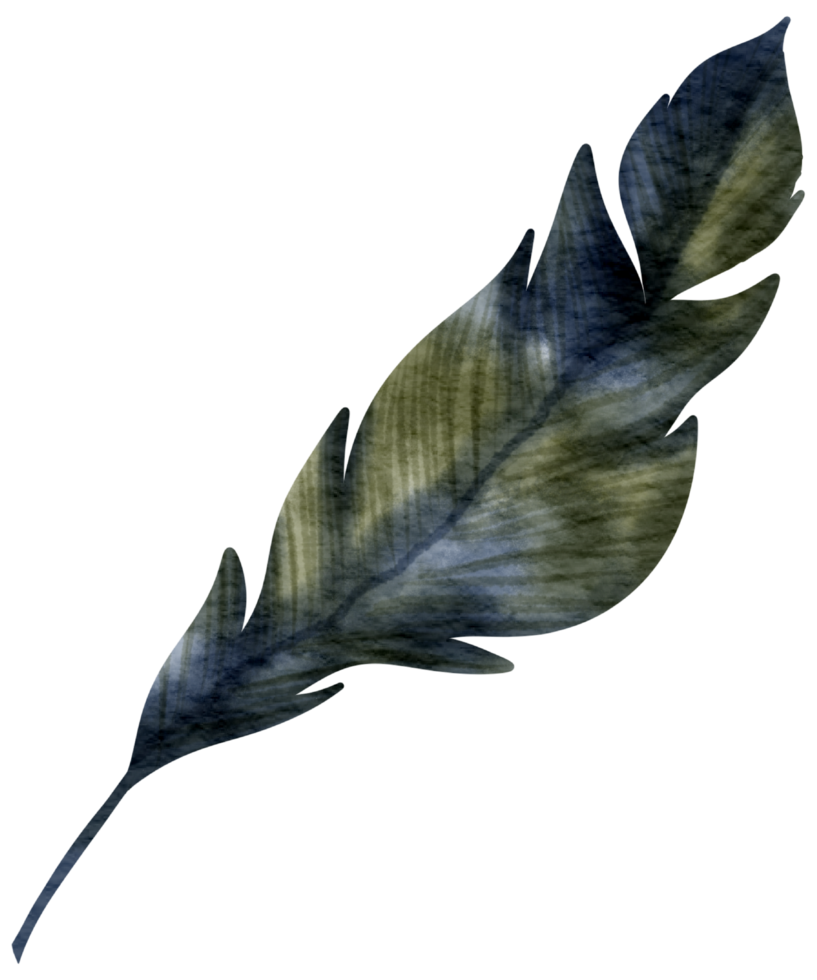 Feather watercolor hand paint png