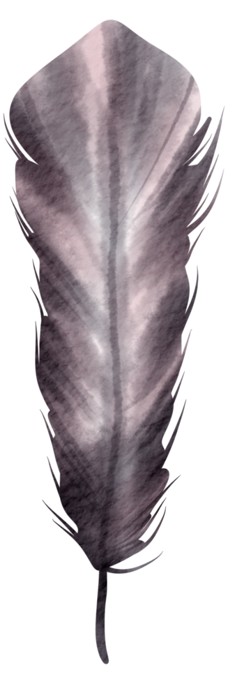 Feather watercolor hand paint png