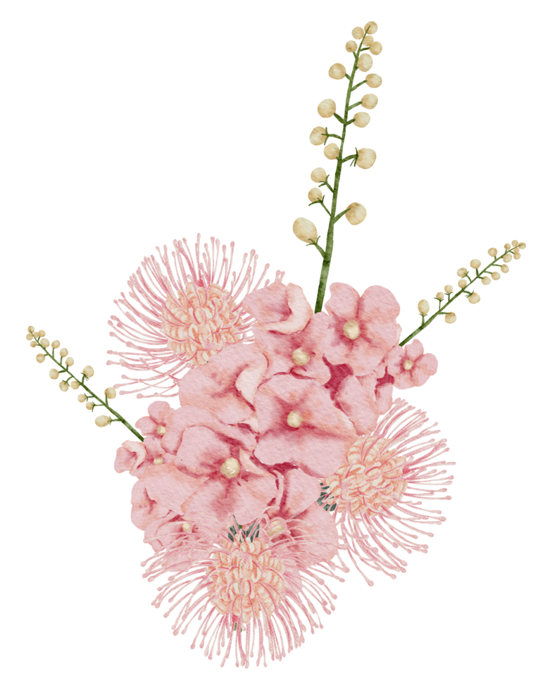 Watercolor Pink Floral Botanical png