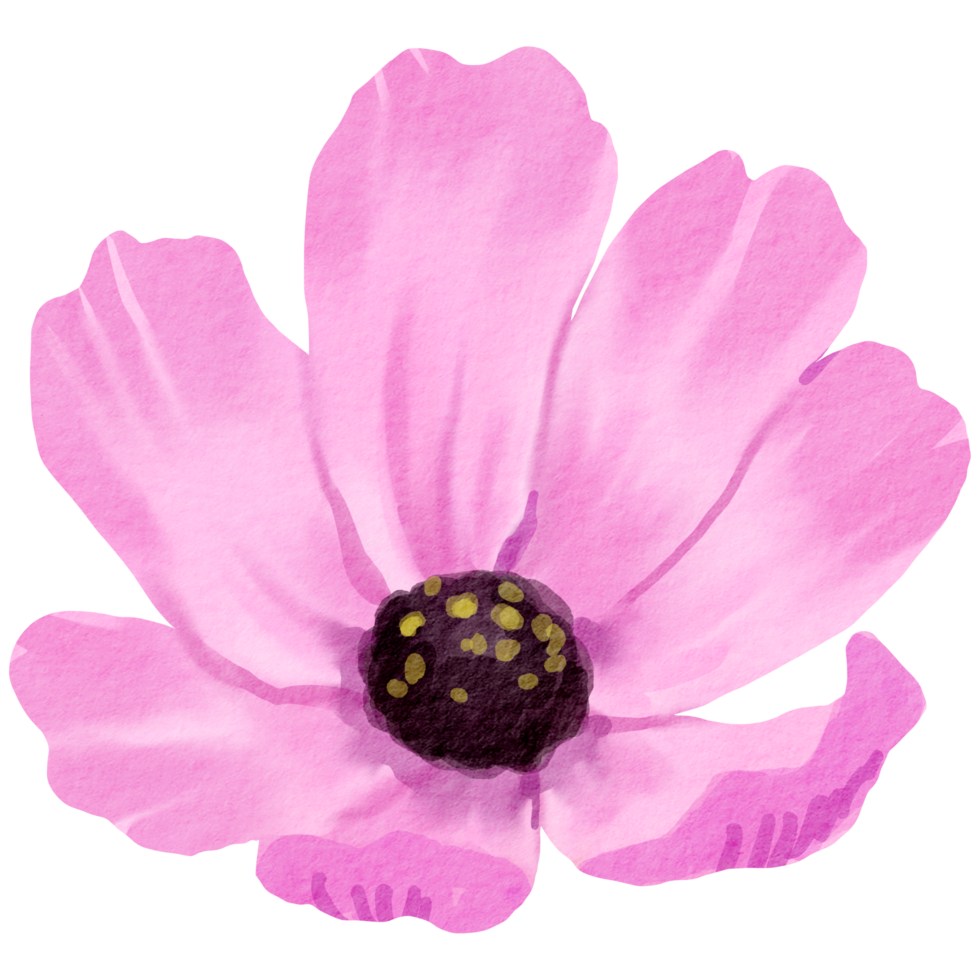 waterverf bloemen botanisch hand- verf png